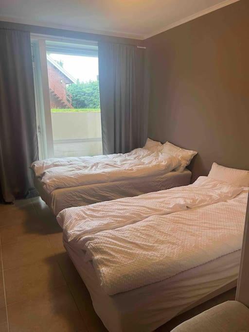 Ferienwohnung Fin Leilighet I Rolig Omrade I Trondheim Hoiset Exterior foto